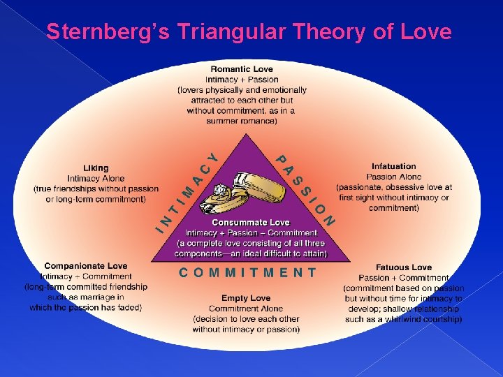 Sternberg’s Triangular Theory of Love 