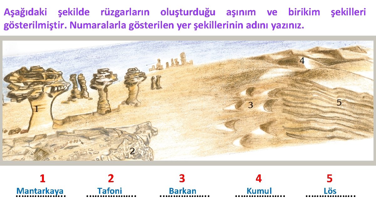 Aşağıdaki şekilde rüzgarların oluşturduğu aşınım ve birikim şekilleri gösterilmiştir. Numaralarla gösterilen yer şekillerinin adını