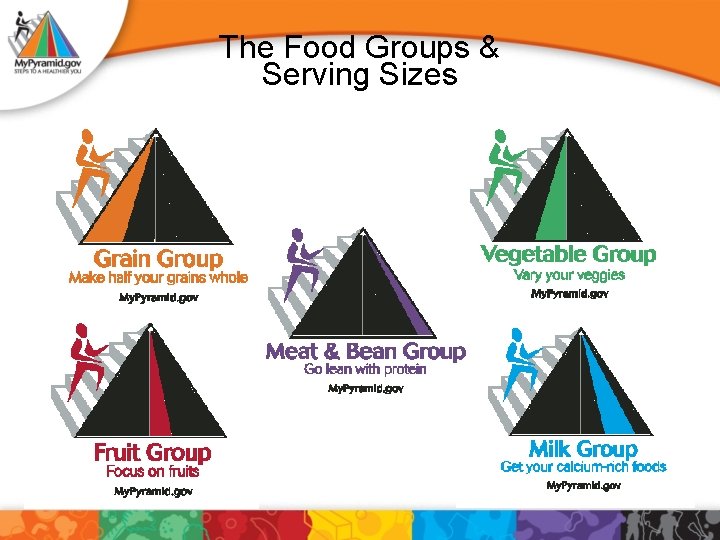 The Food Groups & Serving Sizes 