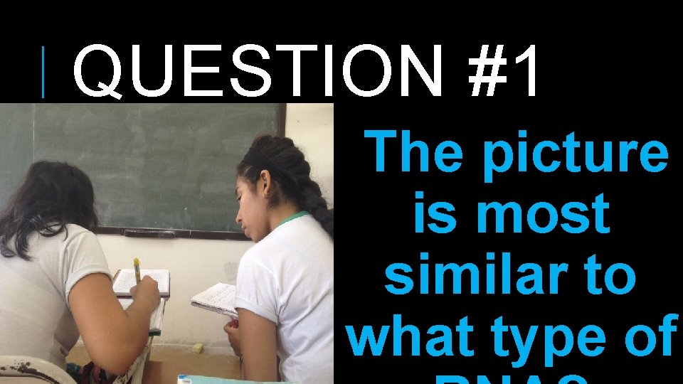 QUESTION #1 The picture is most similar to what type of 