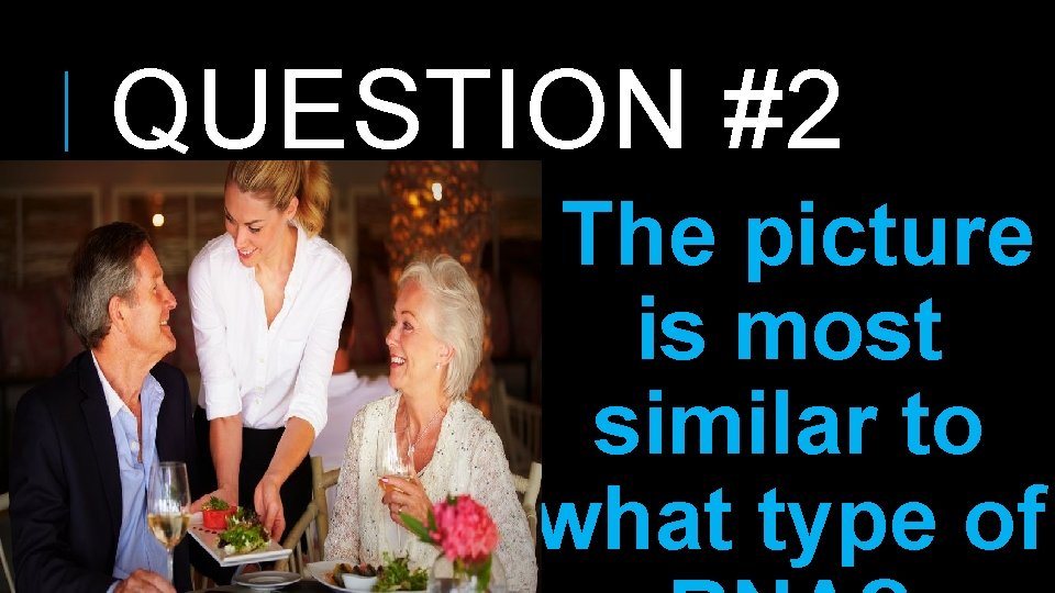 QUESTION #2 The picture is most similar to what type of 