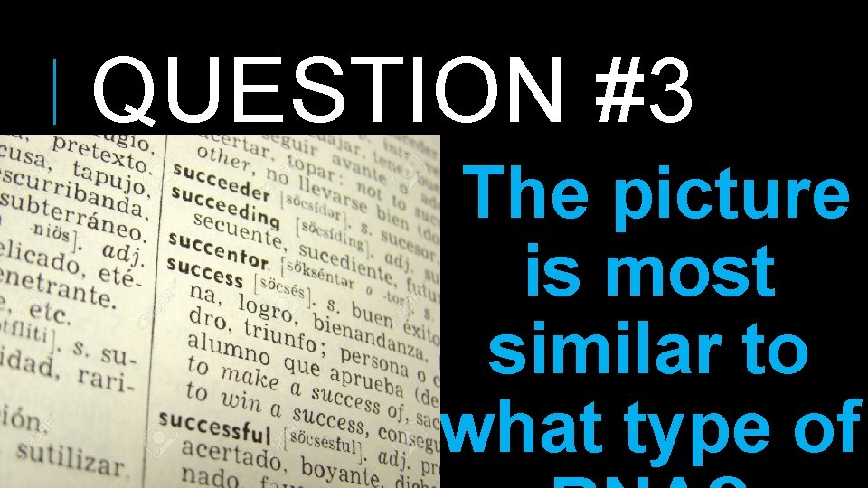 QUESTION #3 The picture is most similar to what type of 