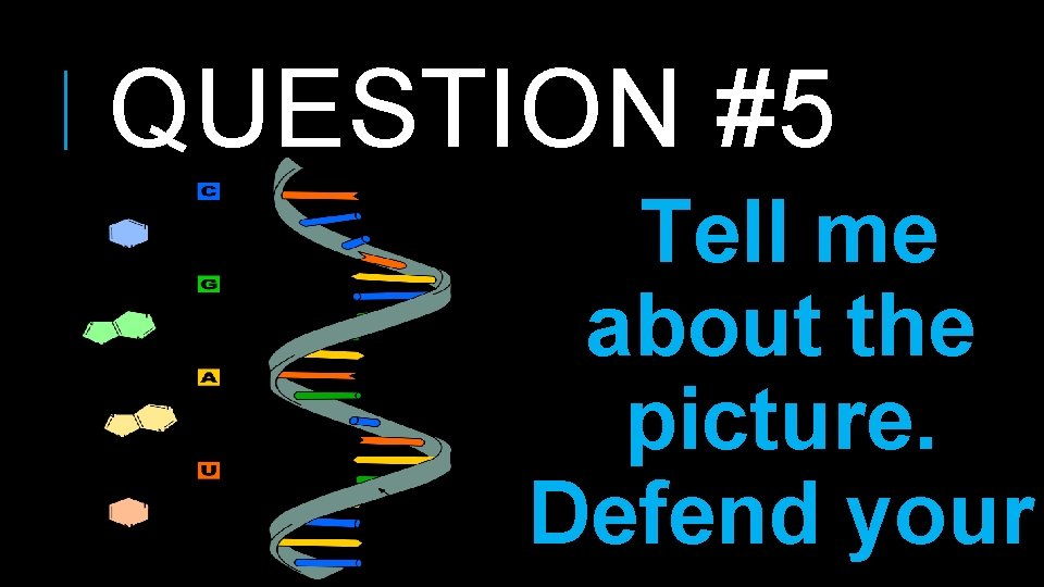 QUESTION #5 Tell me about the picture. Defend your 