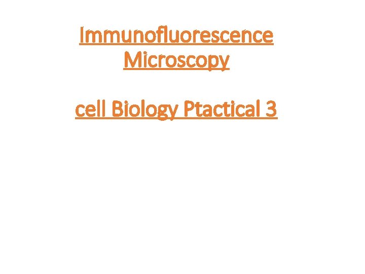 Immunofluorescence Microscopy cell Biology Ptactical 3 
