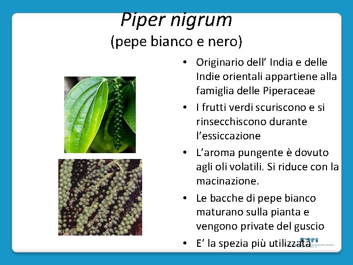 Piper nigrum (pepe bianco e nero) • Originario dell’ India e delle Indie orientali