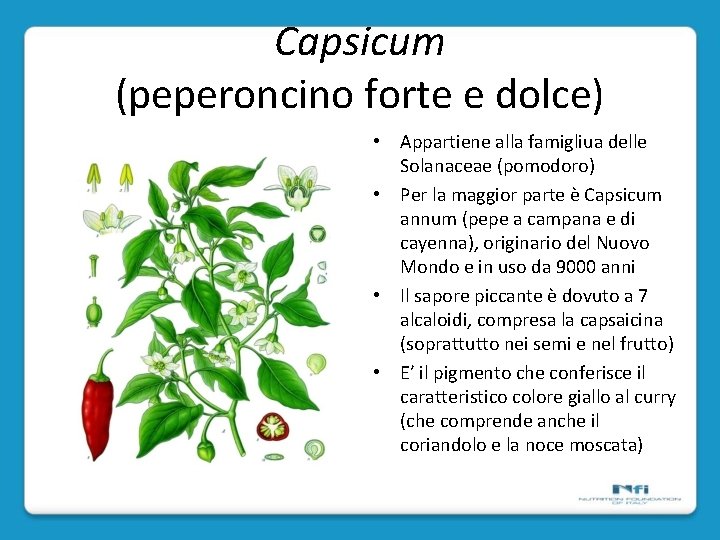 Capsicum (peperoncino forte e dolce) • Appartiene alla famigliua delle Solanaceae (pomodoro) • Per