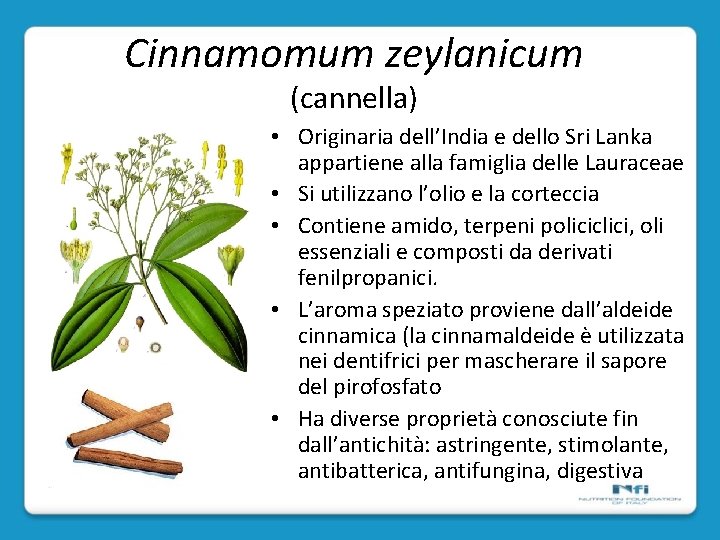 Cinnamomum zeylanicum (cannella) • Originaria dell’India e dello Sri Lanka appartiene alla famiglia delle