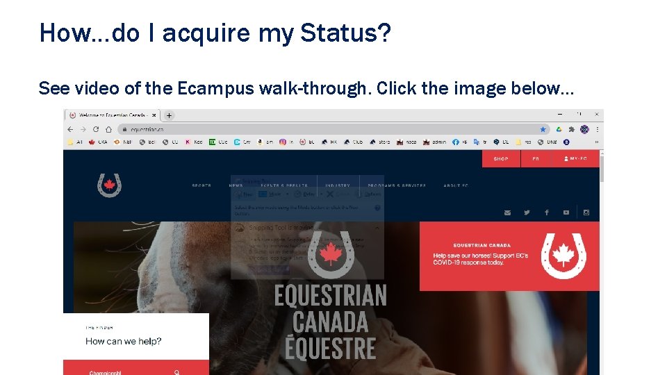How…do I acquire my Status? See video of the Ecampus walk-through. Click the image