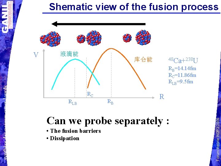 Shematic view of the fusion process 液滴能 库仑能 48 Ca+238 U RB=14. 14 fm