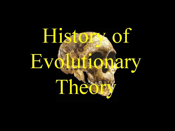 History of Evolutionary Theory 