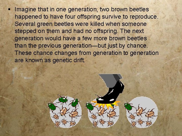 § Imagine that in one generation, two brown beetles happened to have four offspring