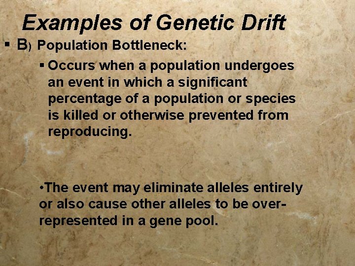 Examples of Genetic Drift § B) Population Bottleneck: § Occurs when a population undergoes
