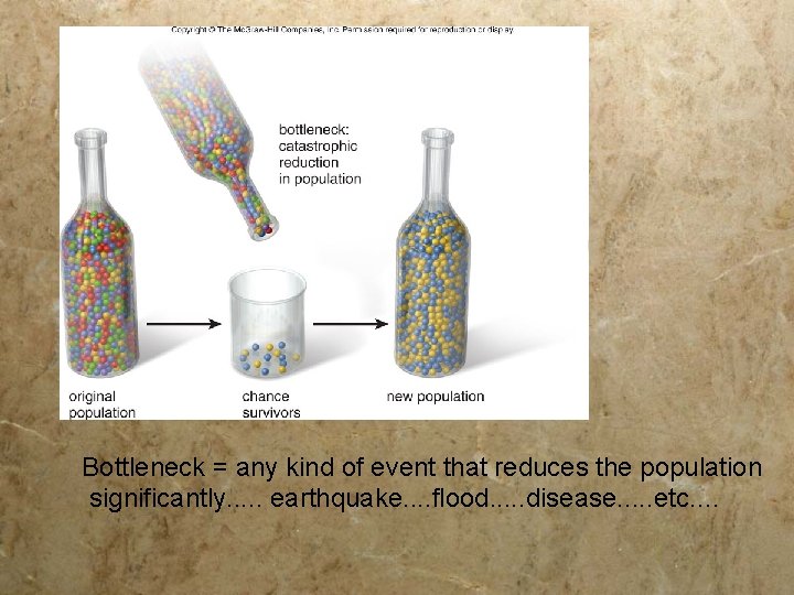 Bottleneck = any kind of event that reduces the population significantly. . . earthquake.