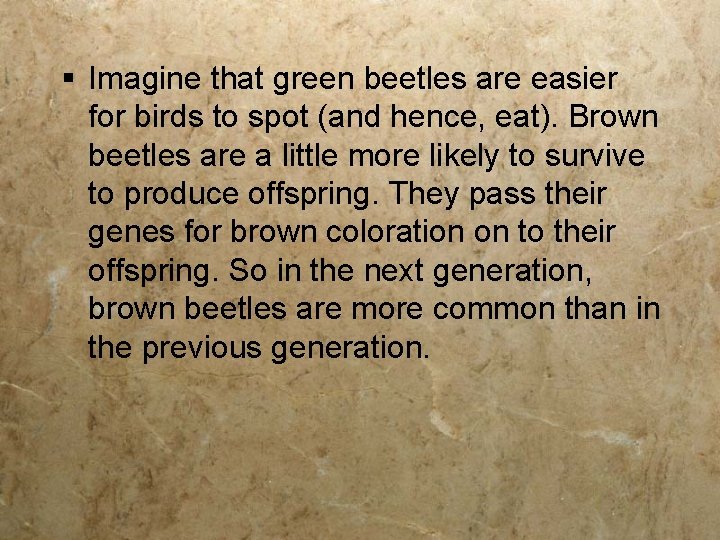 § Imagine that green beetles are easier for birds to spot (and hence, eat).