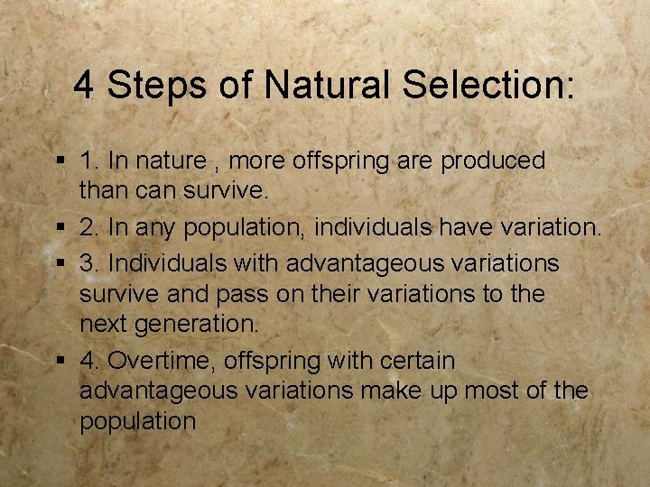 4 Steps of Natural Selection: § 1. In nature , more offspring are produced