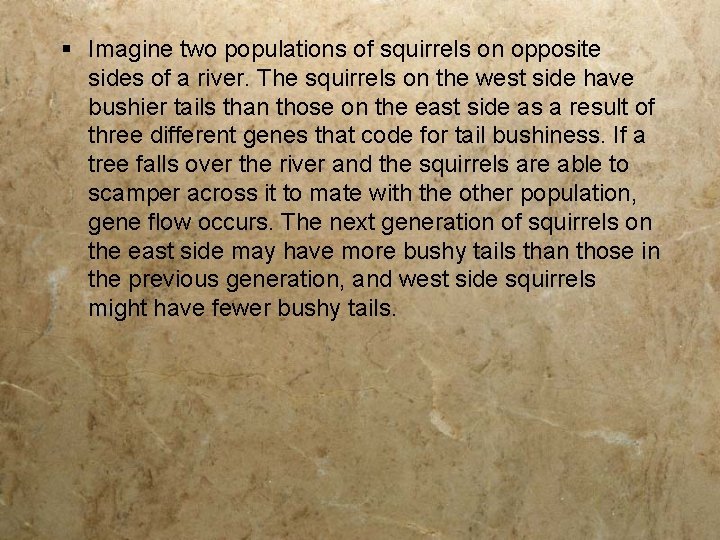 § Imagine two populations of squirrels on opposite sides of a river. The squirrels