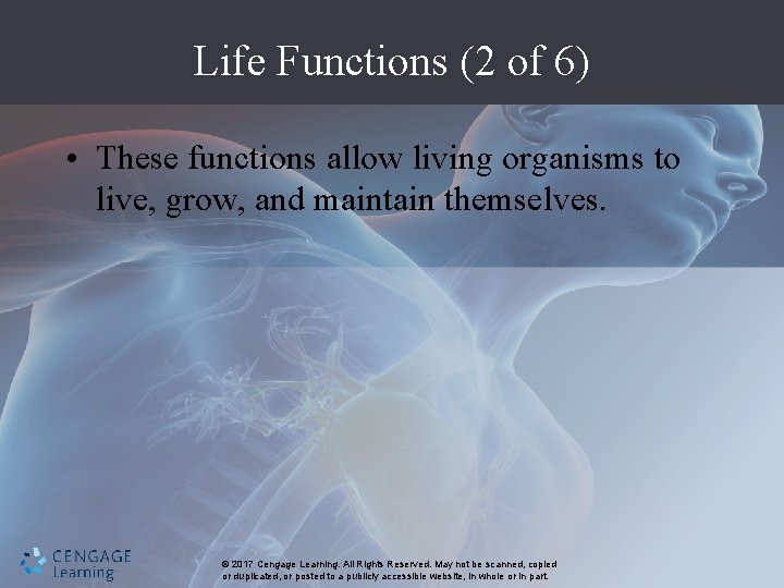 Life Functions (2 of 6) • These functions allow living organisms to live, grow,