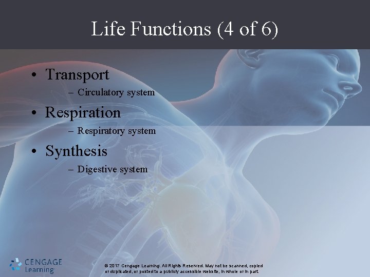 Life Functions (4 of 6) • Transport – Circulatory system • Respiration – Respiratory
