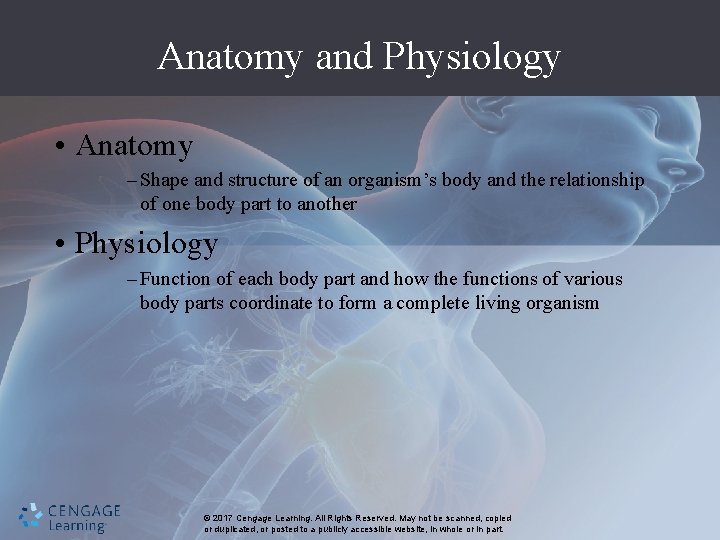 Anatomy and Physiology • Anatomy – Shape and structure of an organism’s body and