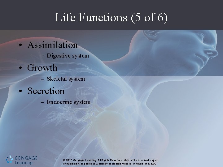 Life Functions (5 of 6) • Assimilation – Digestive system • Growth – Skeletal
