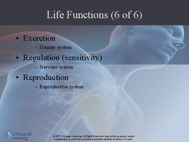 Life Functions (6 of 6) • Excretion – Urinary system • Regulation (sensitivity) –