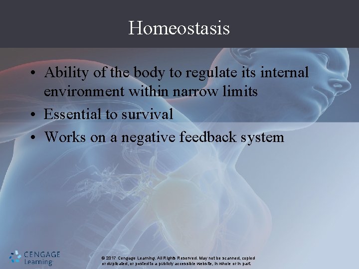 Homeostasis • Ability of the body to regulate its internal environment within narrow limits