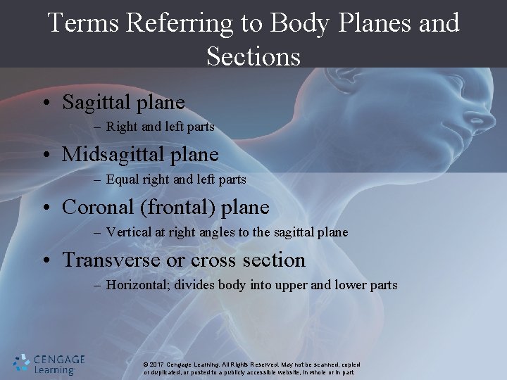 Terms Referring to Body Planes and Sections • Sagittal plane – Right and left
