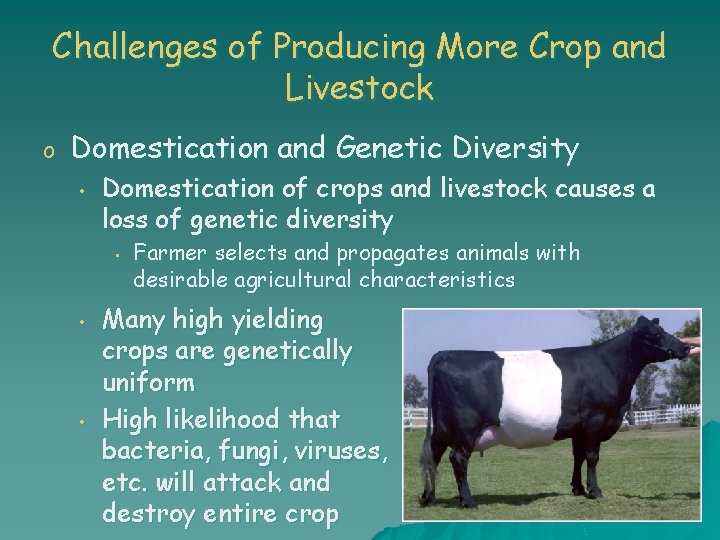 Challenges of Producing More Crop and Livestock o Domestication and Genetic Diversity • Domestication