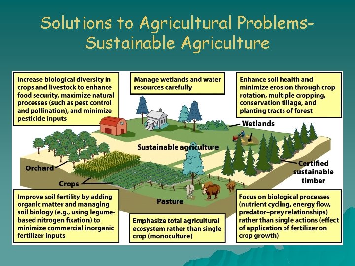 Solutions to Agricultural Problems. Sustainable Agriculture 