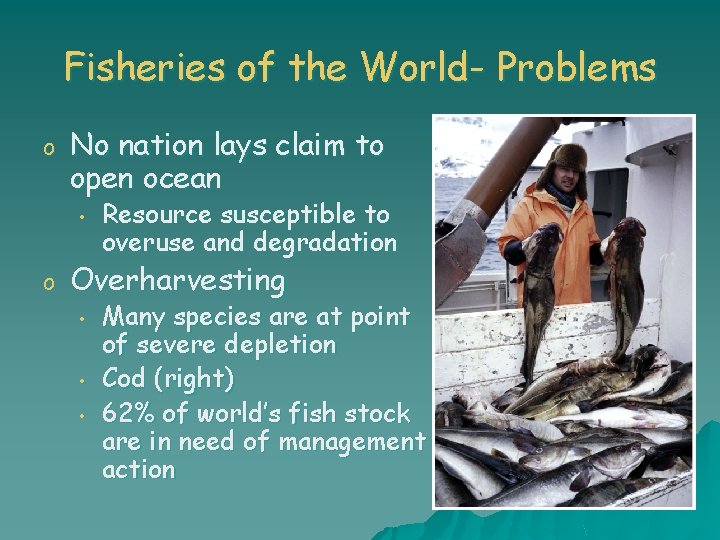 Fisheries of the World- Problems o No nation lays claim to open ocean •