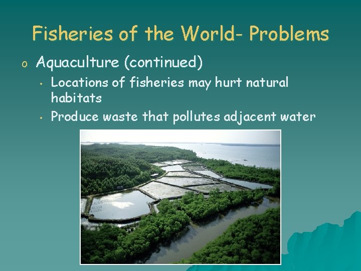 Fisheries of the World- Problems o Aquaculture (continued) • • Locations of fisheries may