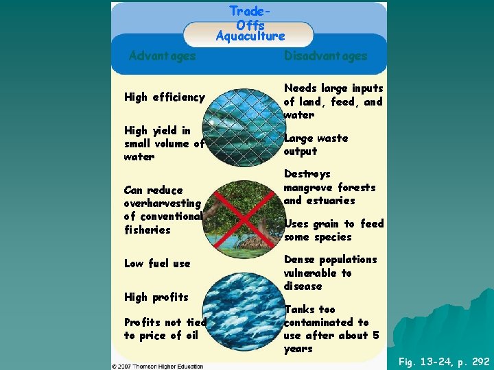 Trade. Offs Aquaculture Advantages Disadvantages High efficiency Needs large inputs of land, feed, and