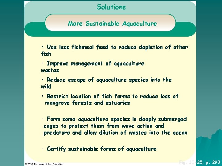 Solutions More Sustainable Aquaculture • Use less fishmeal feed to reduce depletion of other