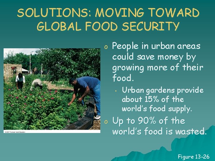 SOLUTIONS: MOVING TOWARD GLOBAL FOOD SECURITY o People in urban areas could save money