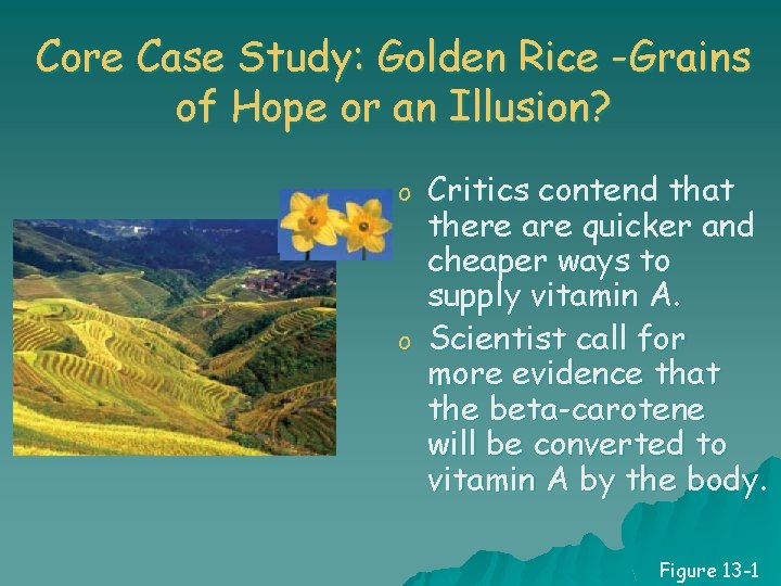 Core Case Study: Golden Rice -Grains of Hope or an Illusion? o o Critics