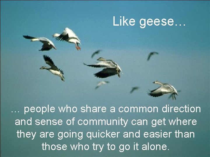 Like geese… … people who share a common direction and sense of community can