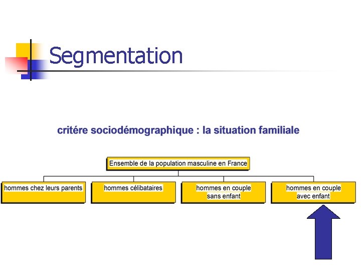 Segmentation 