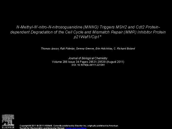 N-Methyl-N′-nitro-N-nitrosoguanidine (MNNG) Triggers MSH 2 and Cdt 2 Proteindependent Degradation of the Cell Cycle