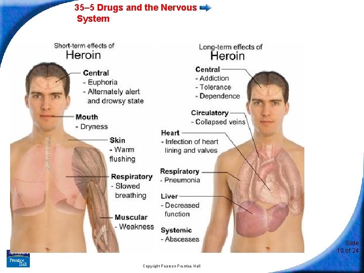 35– 5 Drugs and the Nervous System Slide 10 of 24 Copyright Pearson Prentice