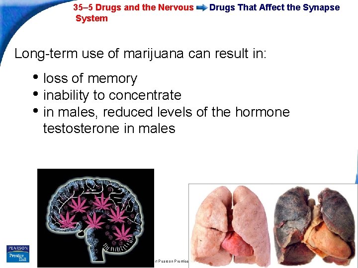 35– 5 Drugs and the Nervous System Drugs That Affect the Synapse Long-term use