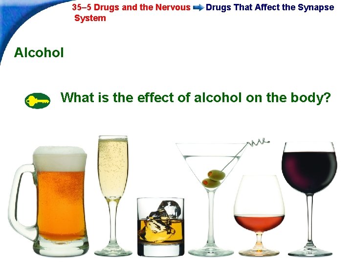 35– 5 Drugs and the Nervous System Drugs That Affect the Synapse Alcohol What