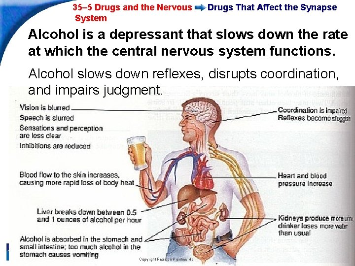 35– 5 Drugs and the Nervous System Drugs That Affect the Synapse Alcohol is