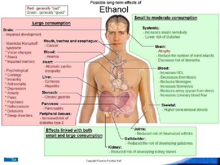 35– 5 Drugs and the Nervous System Slide 17 of 24 Copyright Pearson Prentice