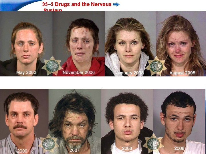 35– 5 Drugs and the Nervous System Slide 21 of 24 Copyright Pearson Prentice