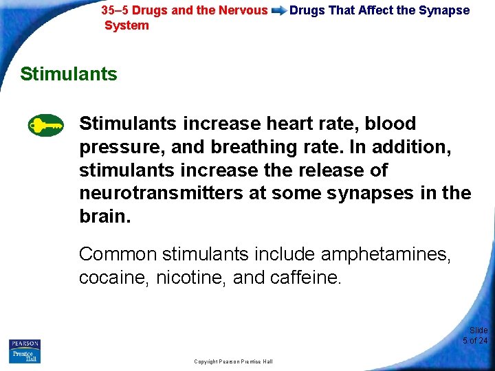 35– 5 Drugs and the Nervous System Drugs That Affect the Synapse Stimulants increase