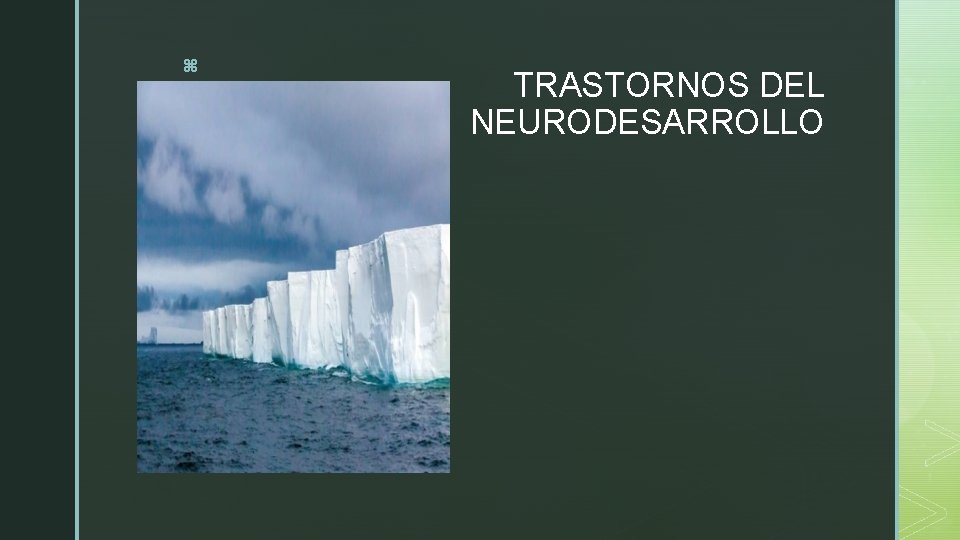 z TRASTORNOS DEL NEURODESARROLLO 