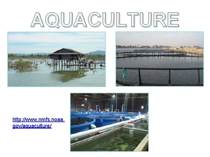 AQUACULTURE http: //www. nmfs. noaa. gov/aquaculture/ 