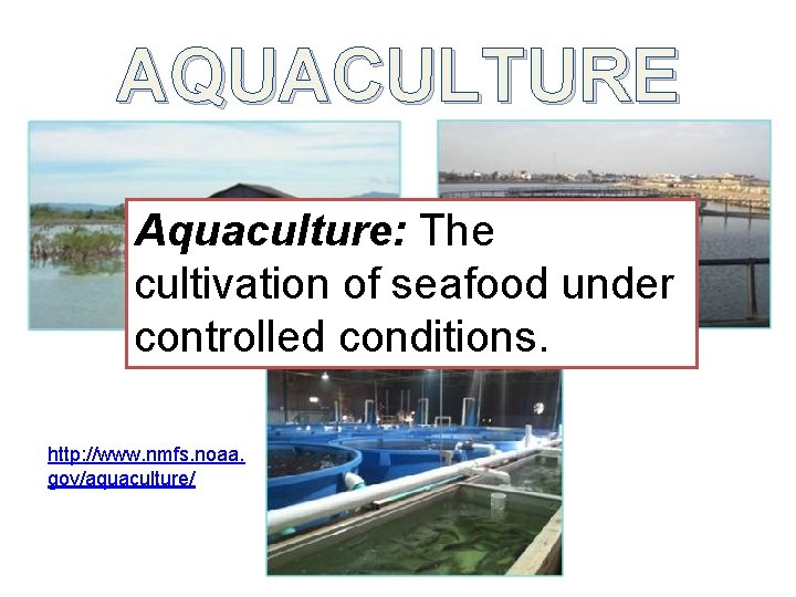 AQUACULTURE Aquaculture: The cultivation of seafood under controlled conditions. http: //www. nmfs. noaa. gov/aquaculture/