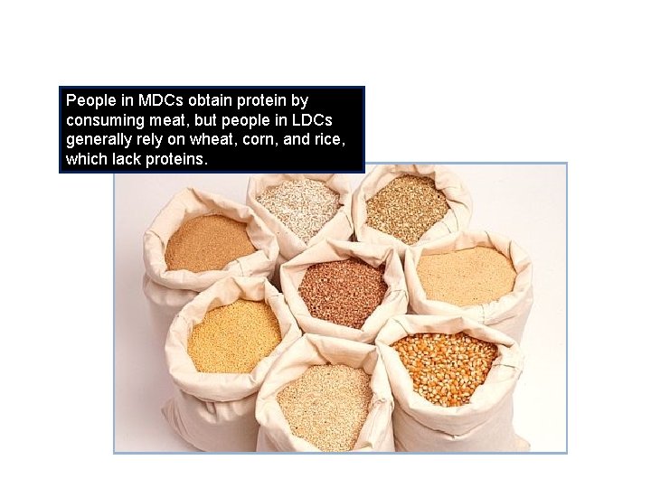 People in MDCs obtain protein by consuming meat, but people in LDCs generally rely