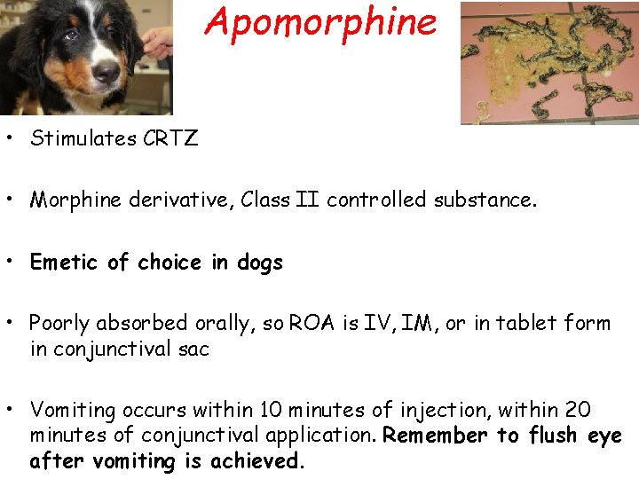 Apomorphine • Stimulates CRTZ • Morphine derivative, Class II controlled substance. • Emetic of